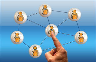 开云·Kaiyun网页版-体育类专业师生互动质量与教学成效关系研究，体育教学过程中的师生人际关系对教学效果的影响